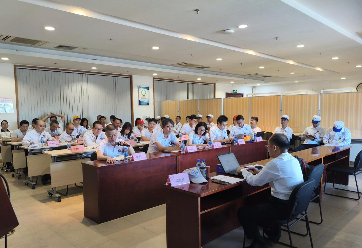 SGS audit team Équipe d'audit SGS